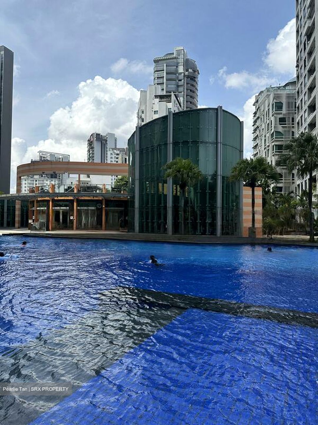 Park Infinia At Wee Nam (D11), Condominium #486930941